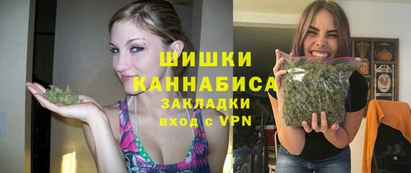 прущие грибы Осинники