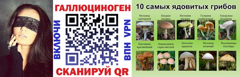 купить  сайты  Кущёвская  Псилоцибиновые грибы прущие грибы 